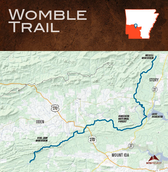 Great Mountain Biking/Cycling Trails to Explore in Every Region of Arkansas